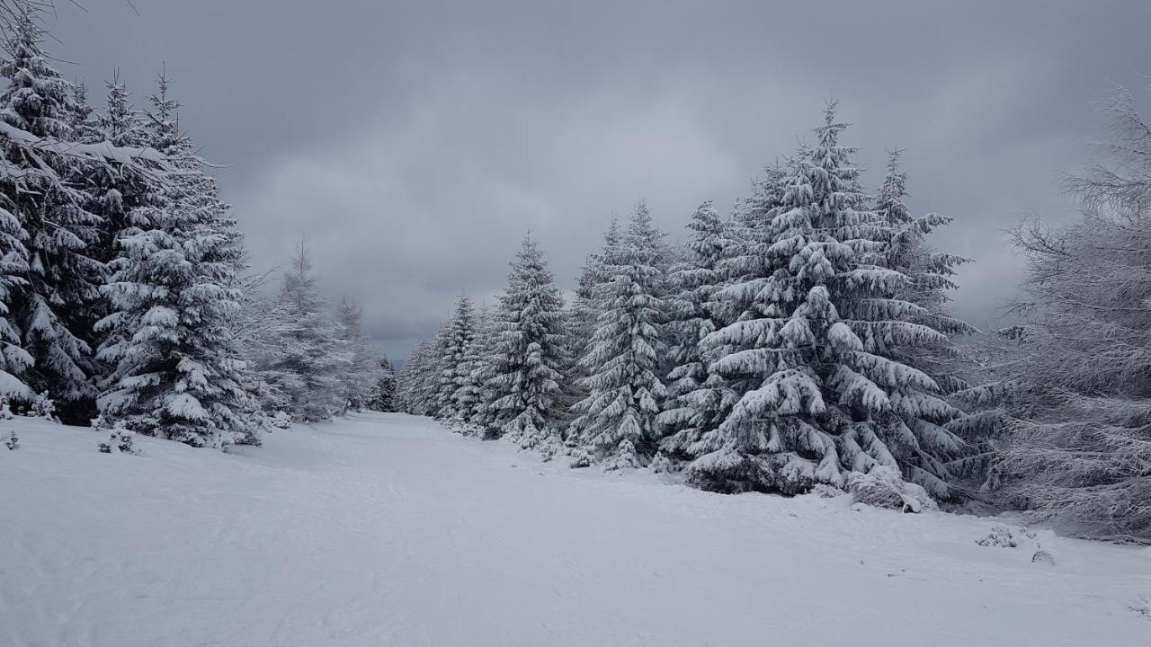 فيلا Dom Trzech Braci Lądek-Zdrój المظهر الخارجي الصورة