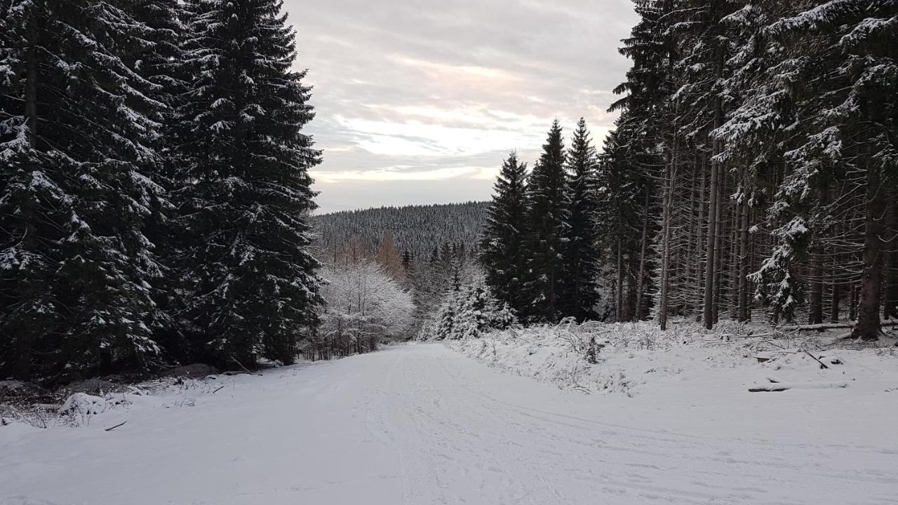 فيلا Dom Trzech Braci Lądek-Zdrój المظهر الخارجي الصورة